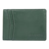 Bulchee Men Green Genuine Leather Wallet